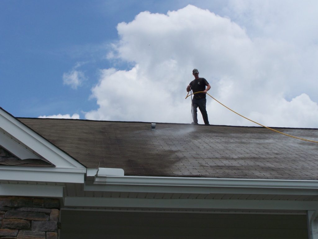 roof cleaning